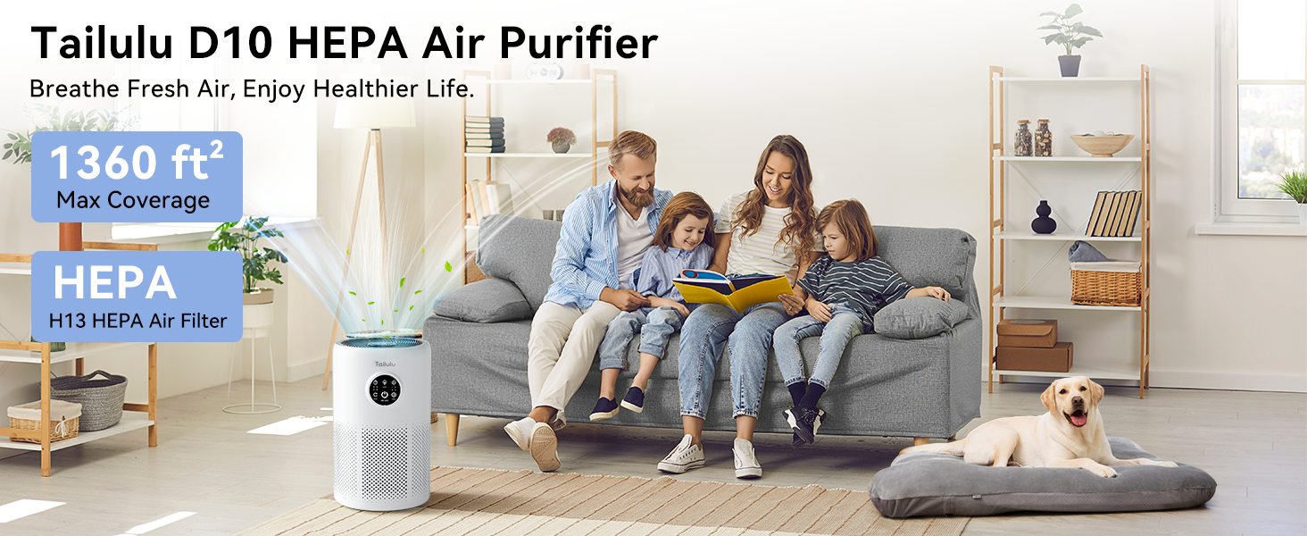 D10 Air Purifier