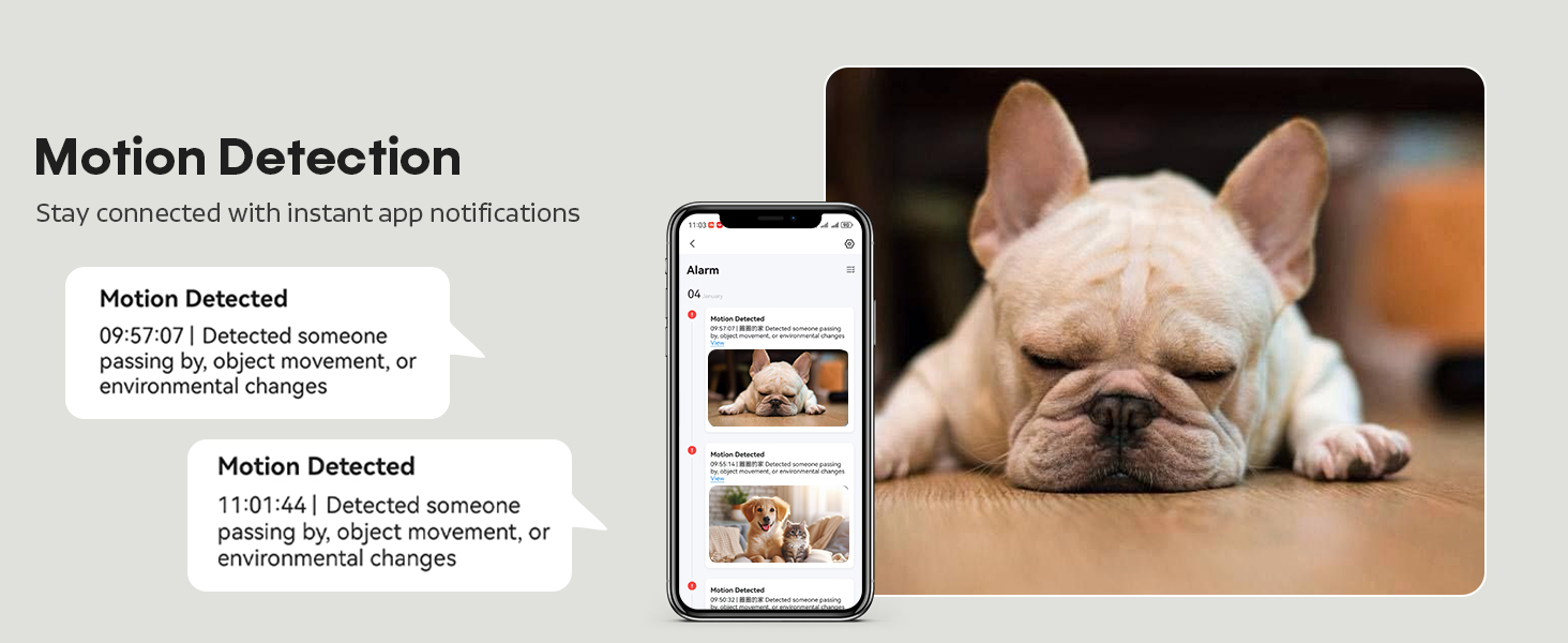 outdoor automatic cat feeder