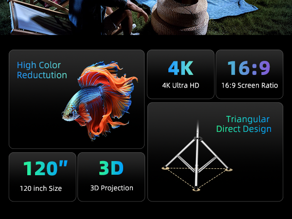 Portable Projector Screen with Aluminum Alloy Stand