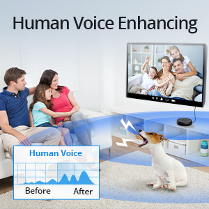 Human Voice Enhancement