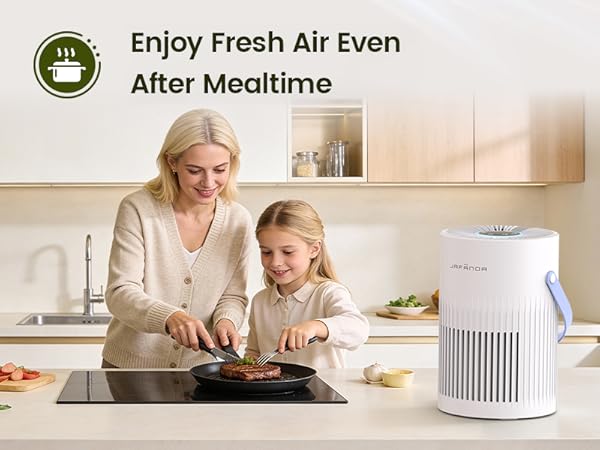 Air purifiers for home