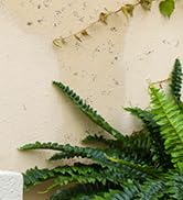 artificial ferns for outdoors