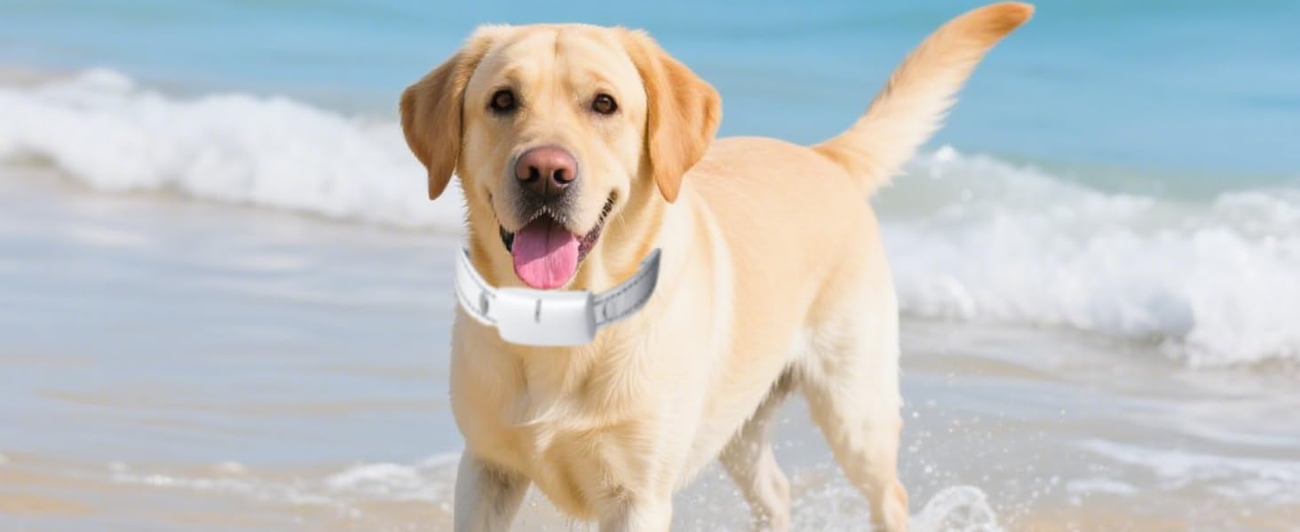 IP67 Waterproof Collar