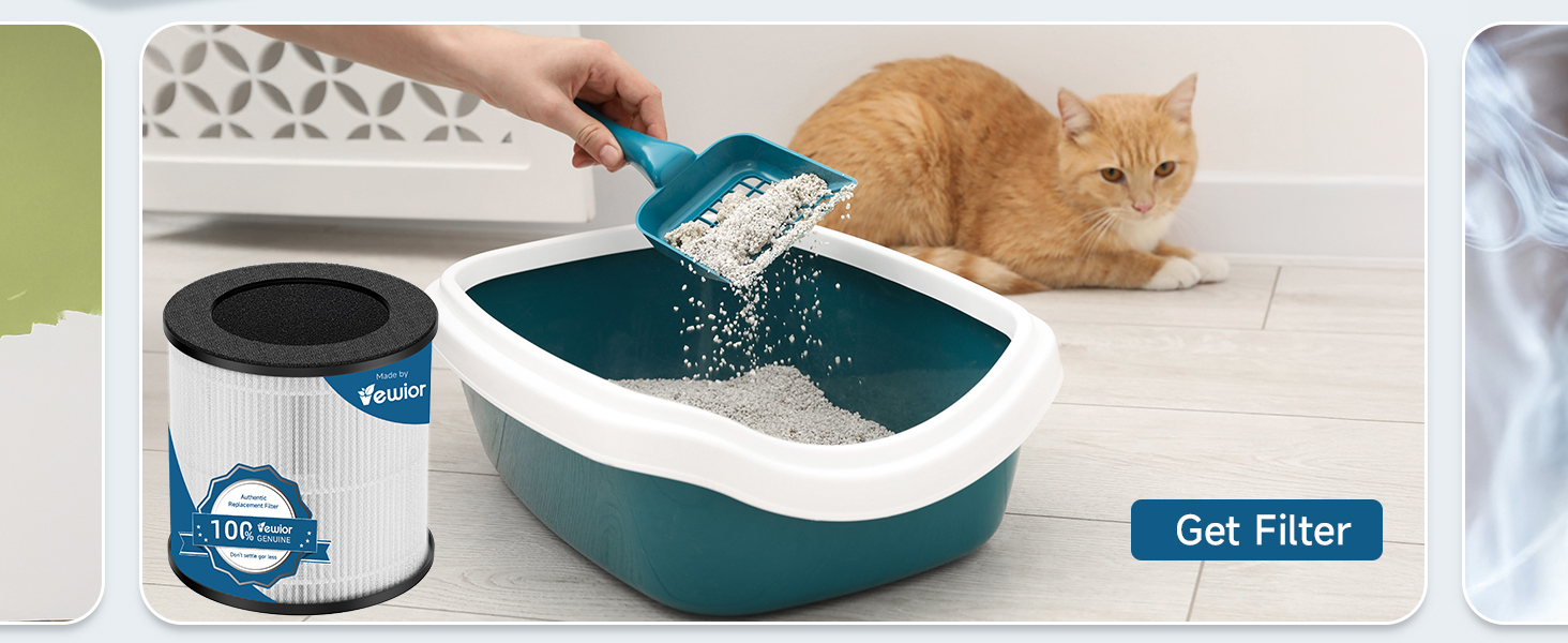 Remove Pet Odor