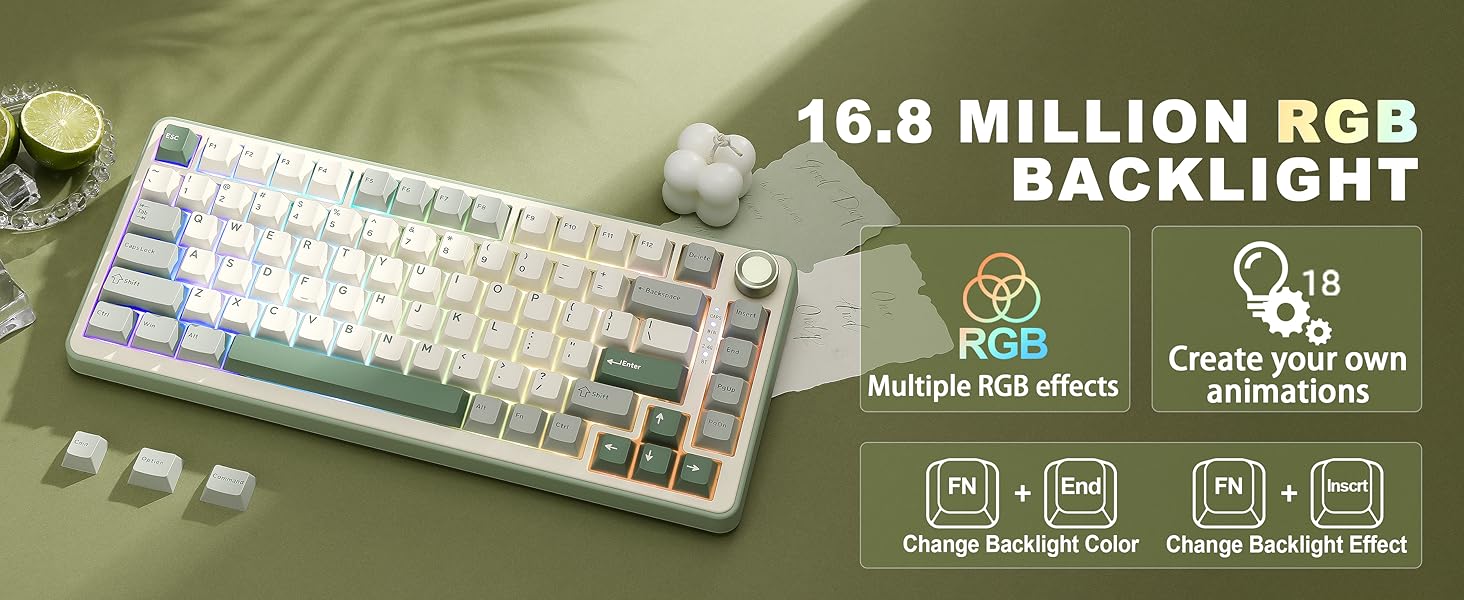 B75 PRO