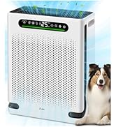 Air Purifiers for Home Large Room Up to 2600 Ft², HEPA Air Purifier with Washable Filter &amp; Air Qu...