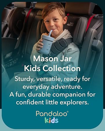 Pandaloo Mason jar kids cups collection