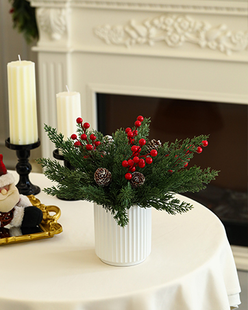 Christmas plants decorations