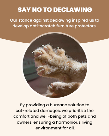 cat scratch post