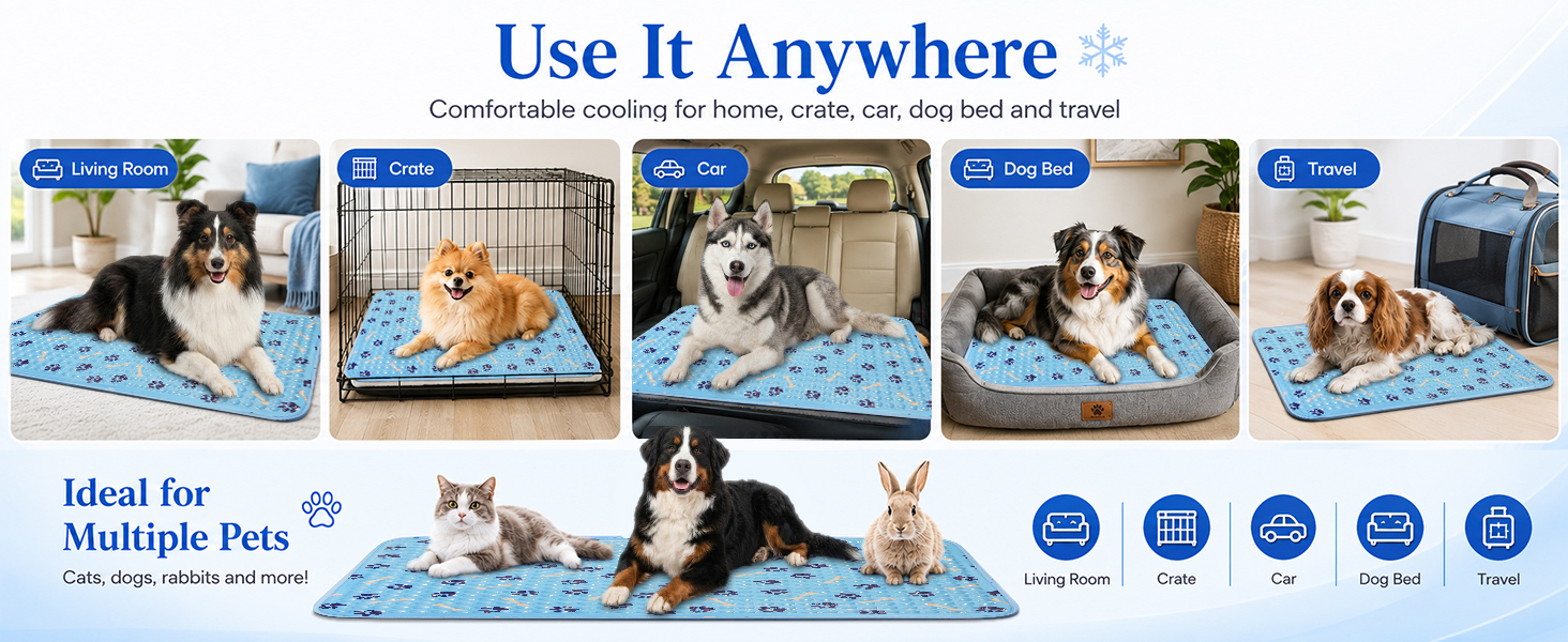 cooling gadgets for dogs