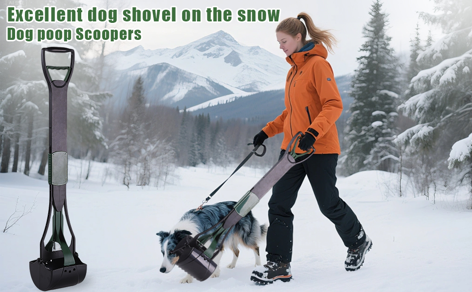 dog poop scoop
