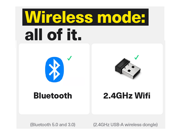 Dual Wireless Connectivity