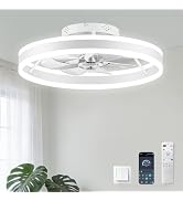 Ceiling Fans with Lights and Remote, 20” Low Profile Ceiling Fan, 2700-6500K Color Temperature, 6...