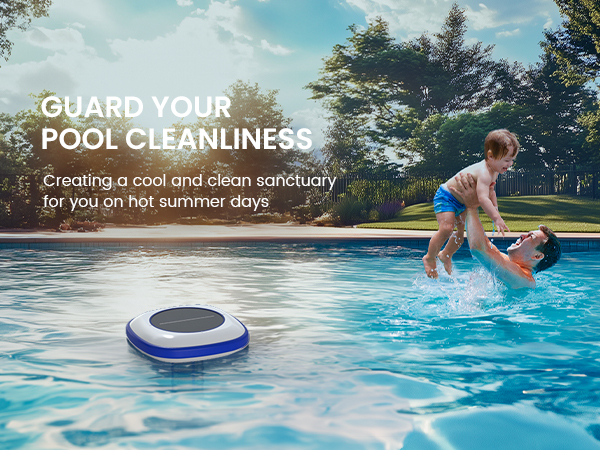 pool ionizer for inground pool