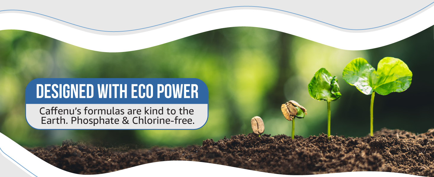 Photo of the stages of growth of the coffee plant from a bean