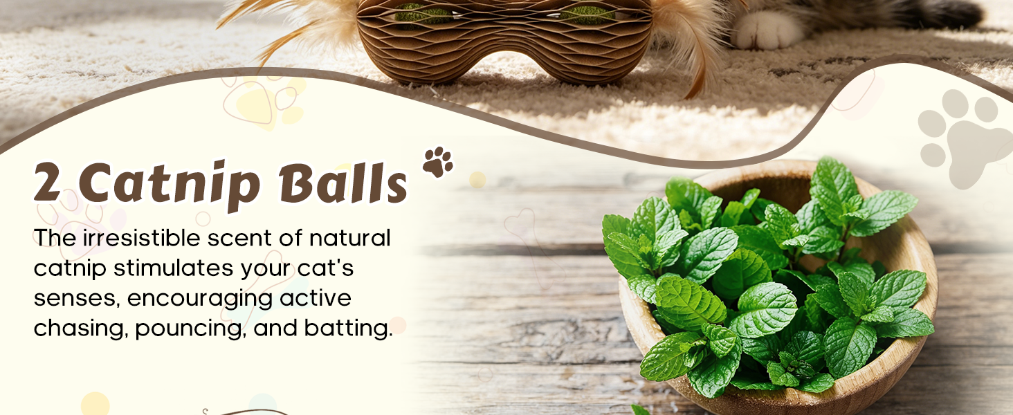 interactive cat toys