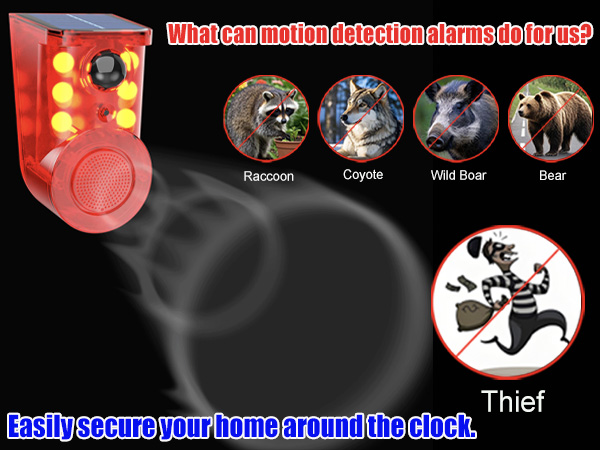 motion detector alarm