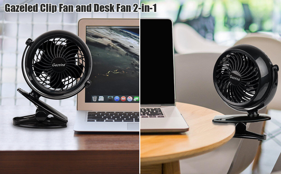Desk Fan and Clip Fan