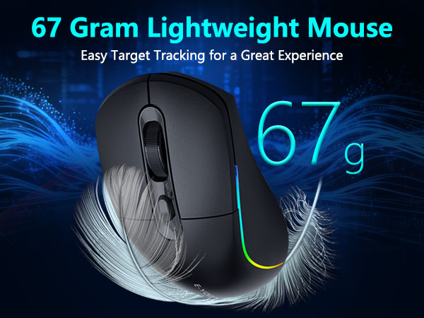 Lightweight mouse