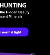 UV Flashlight Black Light UV Lights, 5 Pack 9 LED 395nm Ultraviolet Blacklight, Handheld Mini Tor...