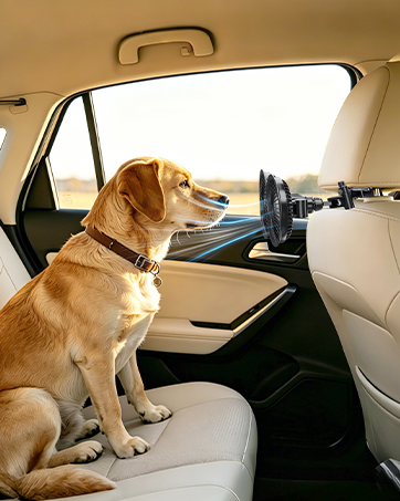 car fans for dog
