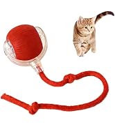 JoyEnjoy Interactive Cat Toy Ball Automatic Rolling Smart Cat Ball with Tail Motion Activated USB...