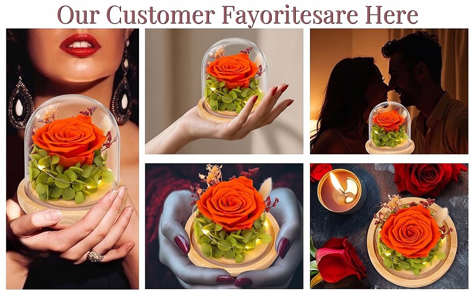 fresh cut roses