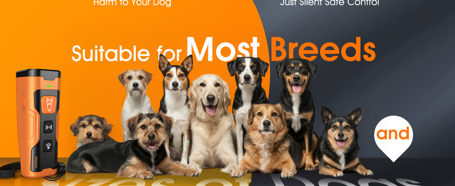 ultrasonic bark deterrent