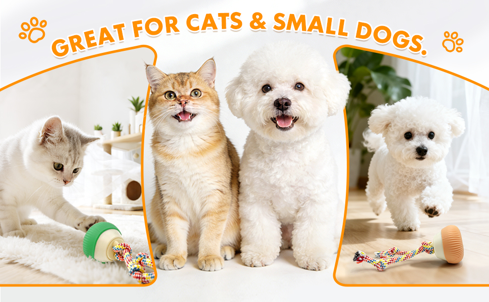 ADKS Interactive Spinning Pet Toy for Cats and Dogs