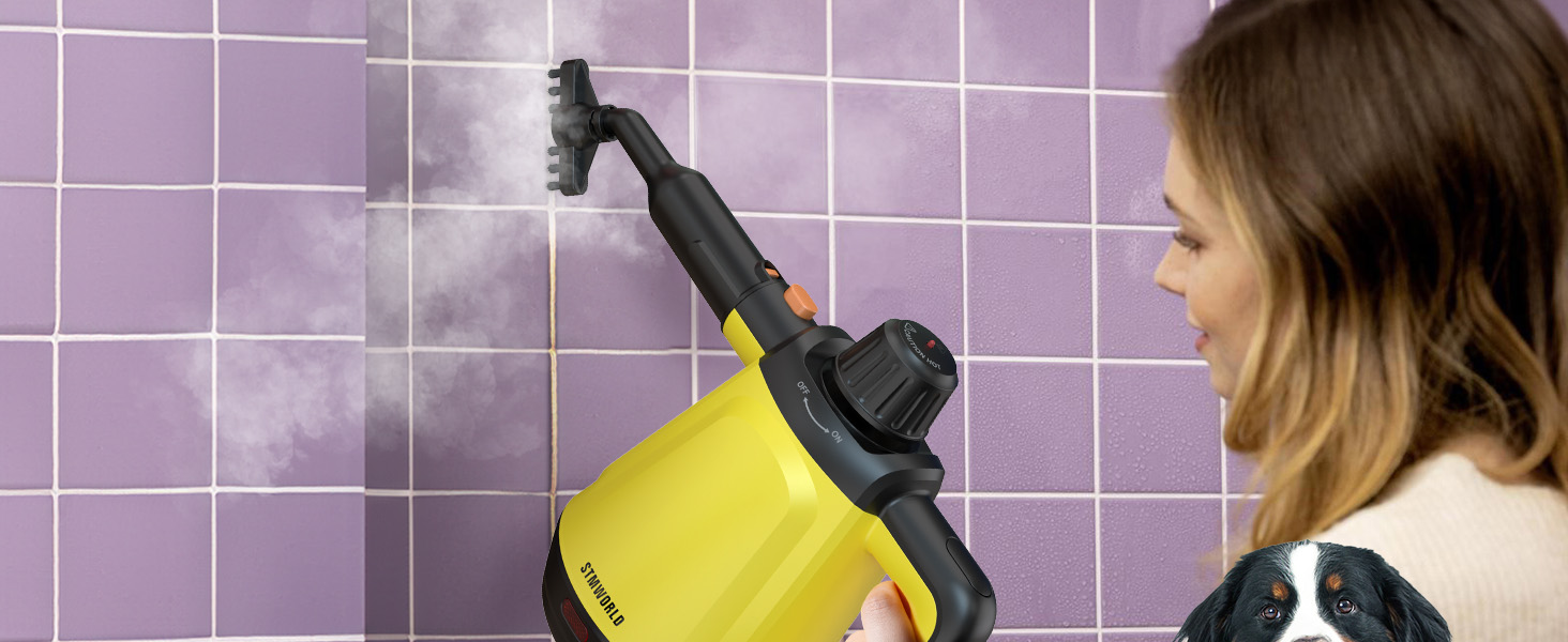 steam cleaner