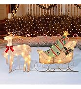 WATERGLIDE Set of 2 Christmas Decorations Outdoor, 23 Inch Lighted Reindeer &amp; Santa Sleigh, Pre-L...
