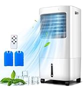 ARLIME Evaporative Air Cooler, Portable Air Conditioner w/20L Water Tank and 2 Ice Packs, 4 Wind ...