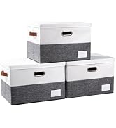 PRANDOM Foldable Storage Bins with Lids [3-Pack] Fabric Collapsible Storage Boxes Baskets Cubes C...