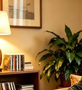 Retekess TR642 CD Player Boombox, CD Cassette Player AM/FM Radio, Wireless, 5000mAh Rechargeable ...