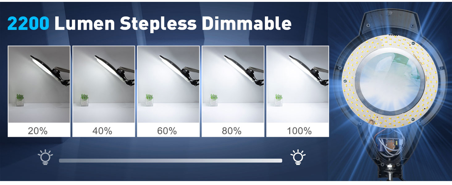 10X Magnifying Glass with Light and Clamp