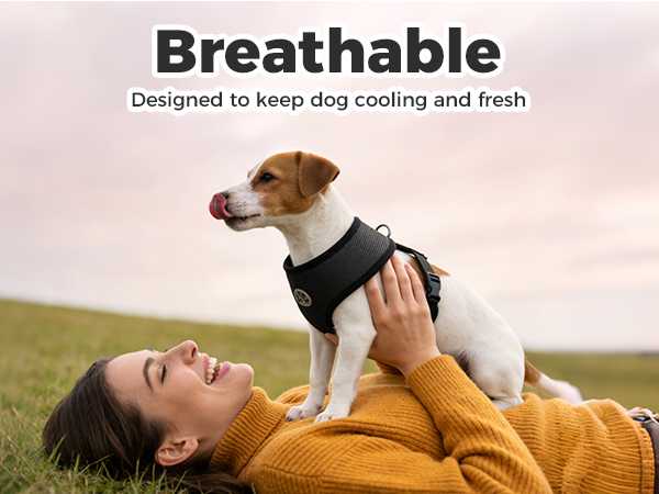 dog harness small sized dogs