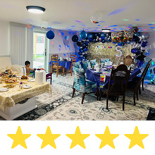 disco ball party lights