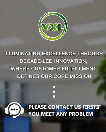 yxl-MAIN2