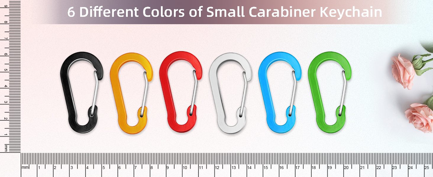 Small Carabiner Clip