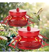 Tegarbed 6 OZ Glass Hummingbird Feeders for Outdoors Hanging 2 Pack,Mason Jar Hummingbird Feeder ...