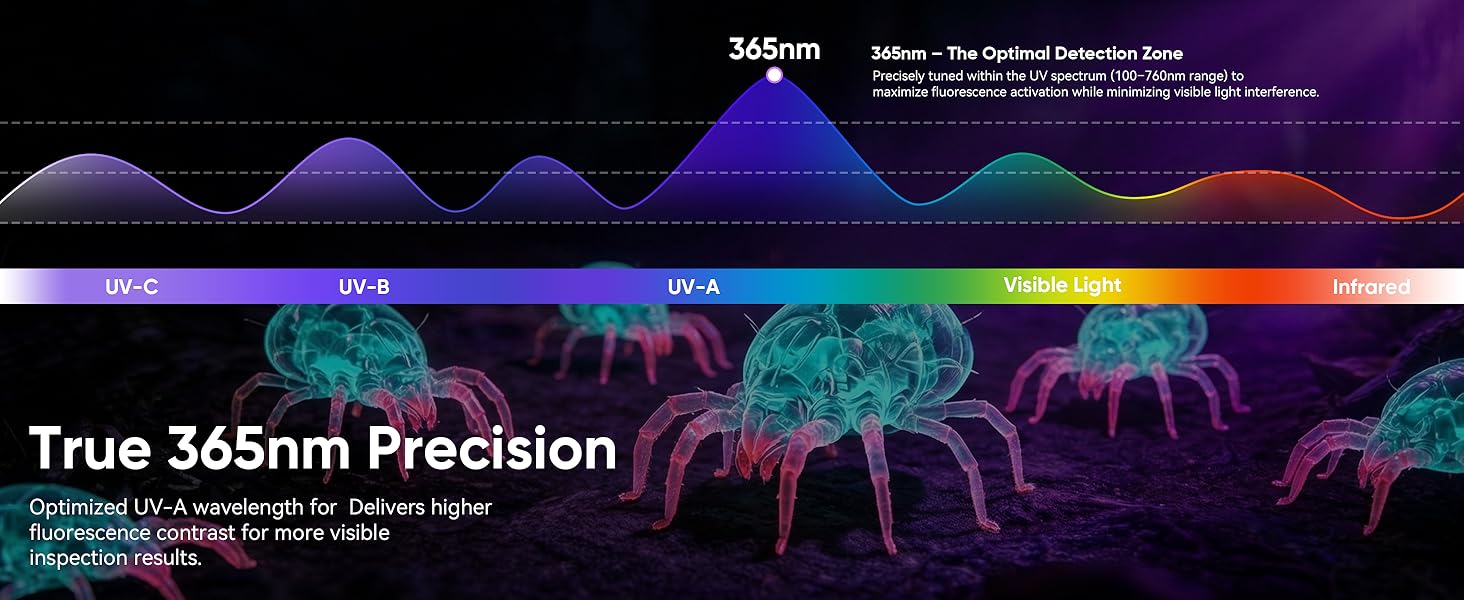 Scorpion detection