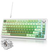 iRoboosta 75% Mechanical Gaming Keyboard, Hot Swappable RGB Backlit Custom Keyboard with Knob, Ga...