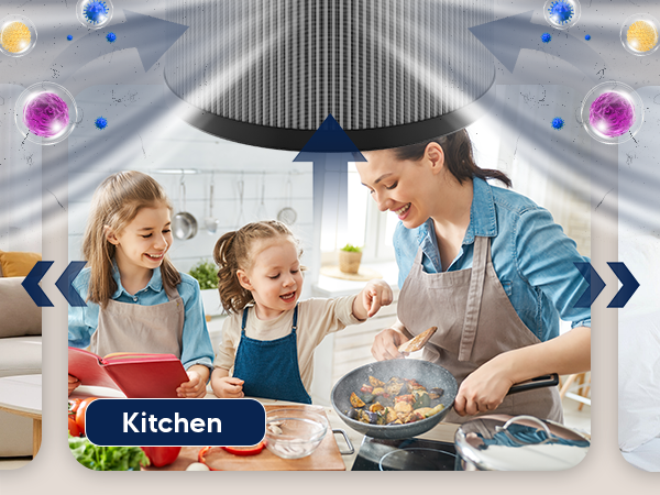 aroeve air purifier filter replacement