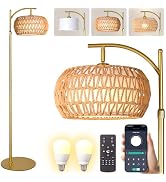 DRAWNCAT Gold Boho Rattan Floor Lamp w/Remote, Dimmable (2700K - 6000K), 2 - in - 1 Wicker &amp; Fabr...