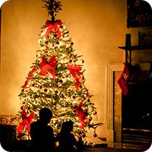 fairy led lights