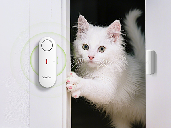 Door Alarm - 11