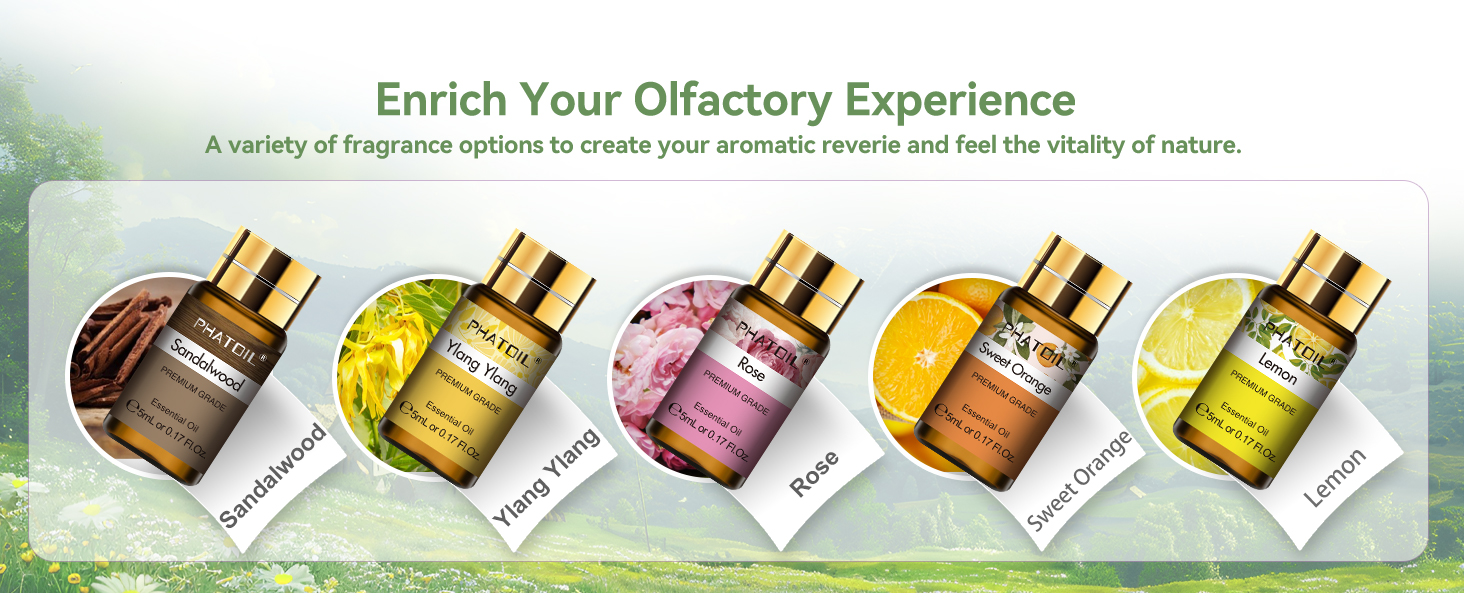 PHATOIL Essential Oils Gift Set