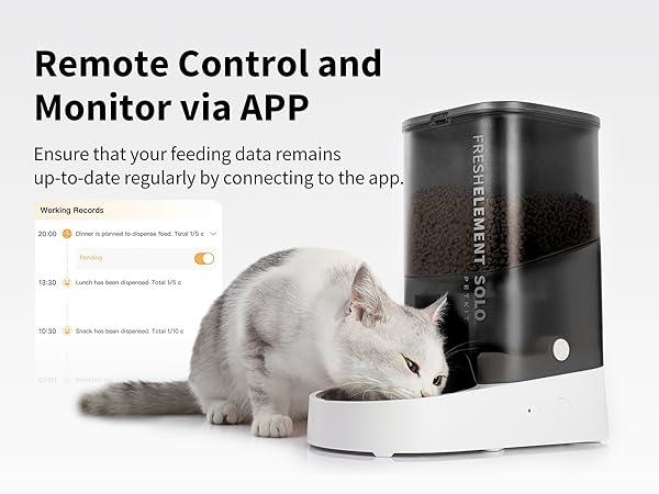 App controlled automatic pet feeder