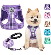 BEAUTYZOO Small Dog Harness and Leash Set,Step in No Chock No Pull Soft Mesh Dog Harnesses Reflec...