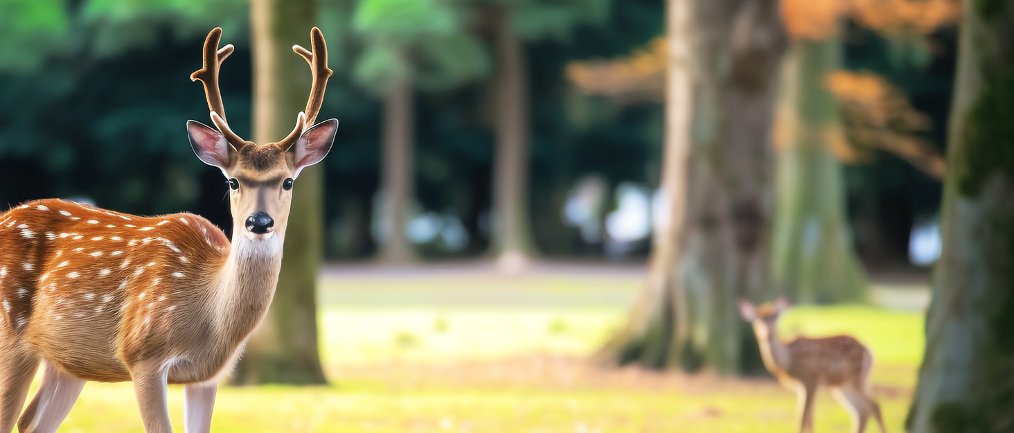 6V solar panel charger for deer feeder game feeder solar panel for hunting outdoor